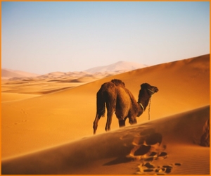 2 Days Tour from Errachidia to Merzouga desert