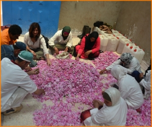 private 6 days tour from Casablanca,5,6,7 days Morocco culture tour and Casablanca trip private 6 days tour from Casablanca,5,6,7 days Morocco culture tour and Casablanca trip